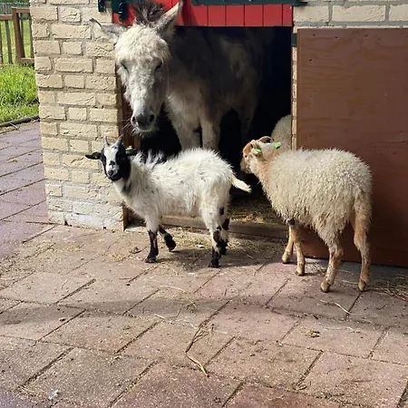 Het Huys Mooi Luxe En Laadpaal *