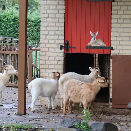 Het Huys Mooi Luxe En Laadpaal Holiday home Ewijk